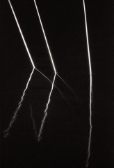 Laughing Reeds 1