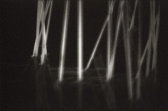 Laughing Reeds 7
