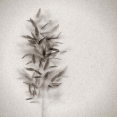 MovingGrass