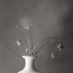 White Vase