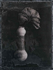 Broken Vase and  Leaf